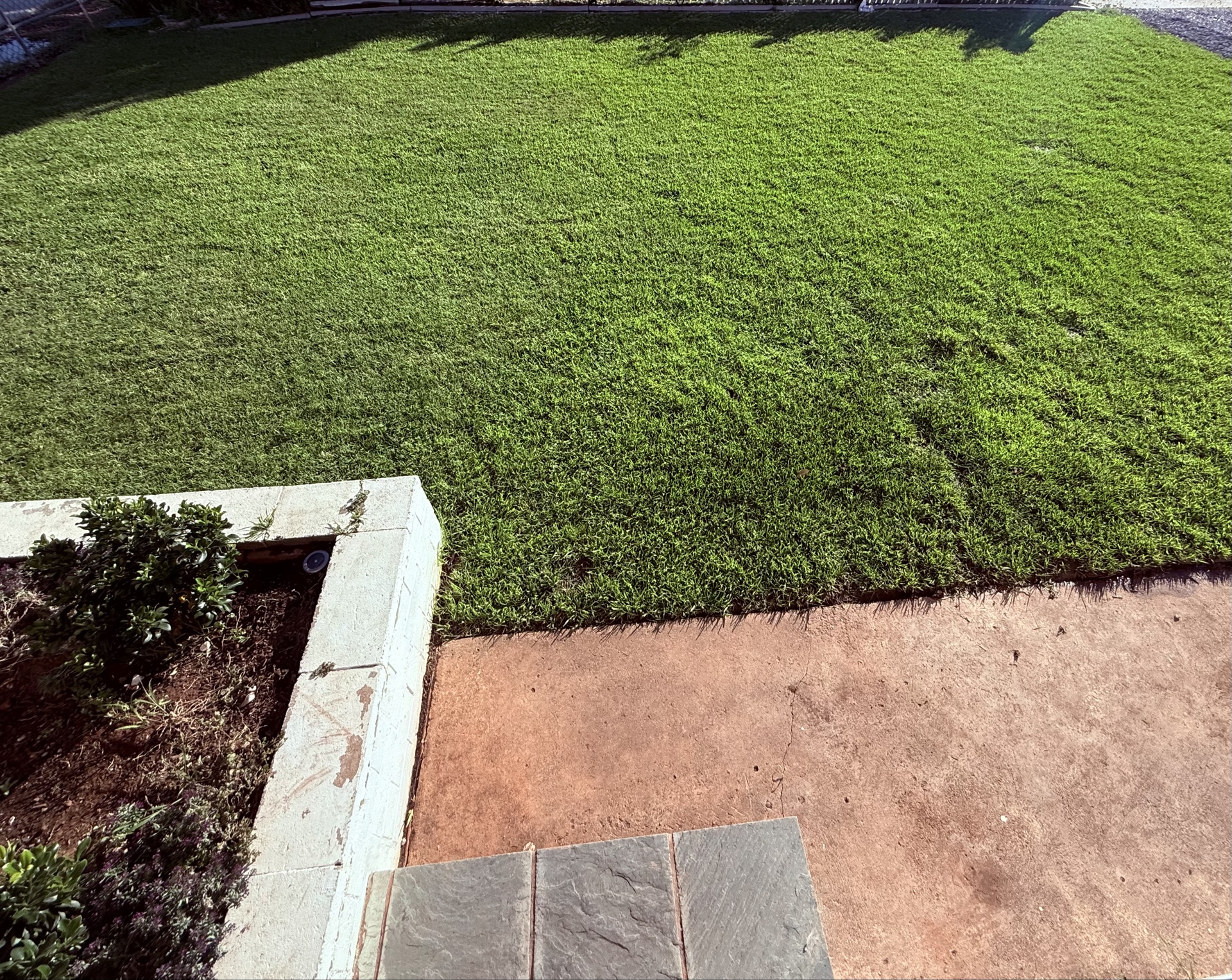 Lawn Edging Project 1