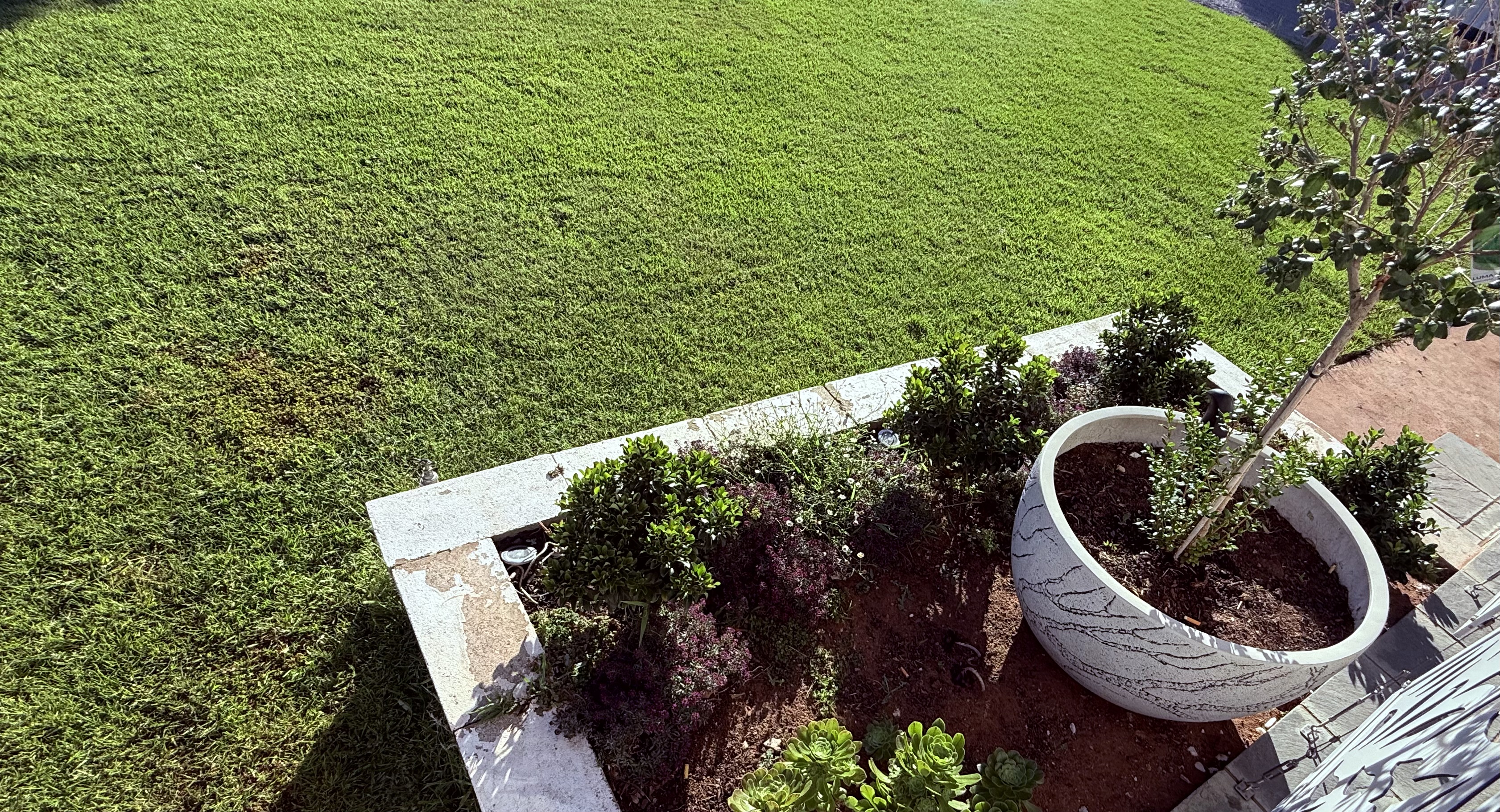 Lawn Edging Project 2